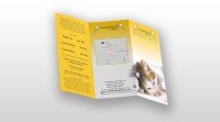 Buy Folded Leaflets Online