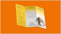 Buy Folded Leaflets Online